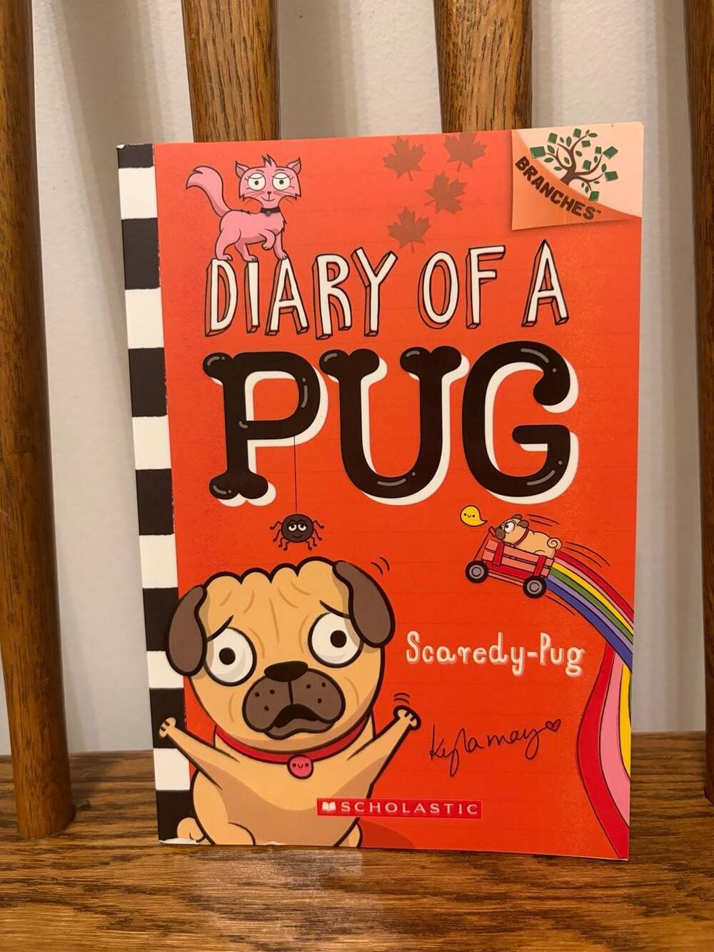 Diary of a Pug Scaredy-Pug A Branches Book by Kyla May Paperback